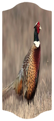 Pheasant